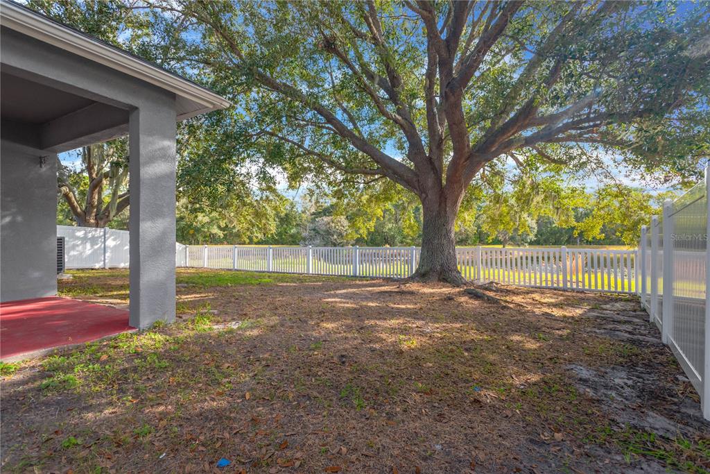 5806 Tanagerlake Road Lithia, FL 33547 - Photo 33 of 33