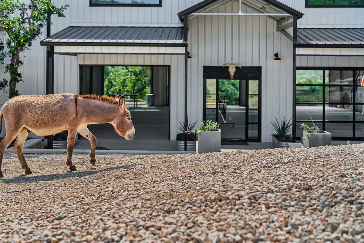 12701 Trails End Road Cedar Park, TX 78613 - Photo 3 of 18 The barn-style main residence set within the private grounds, often greeted by Poncho, the property’s resident donkey.