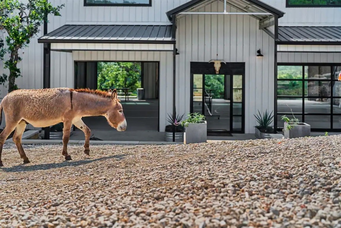 12701 Trails End Road Leander, TX 78641 - Photo 3 of 18 The barn-style main residence set within the private grounds, often greeted by Poncho, the property’s resident donkey.