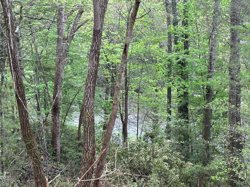 0 Riverside Lane Blue Ridge, GA 30513 - Photo 36 of 36 Gallery Image 36