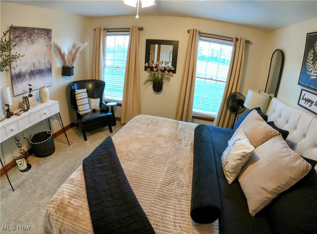 2421 McCoy Road Wooster, OH 44691 - Photo 19 of 39 Bedroom featuring carpet flooring, multiple windows, and baseboards