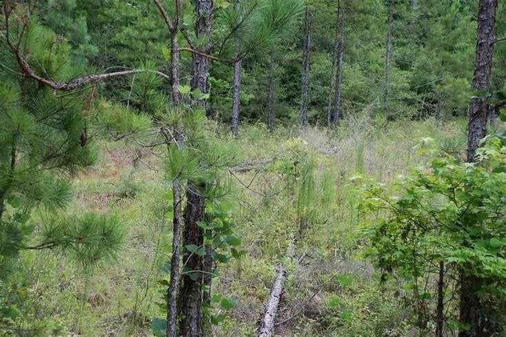 1.15-ac Sandy Landing Road Andalusia, AL 36421 - Photo 3 of 6 Gallery Image 3
