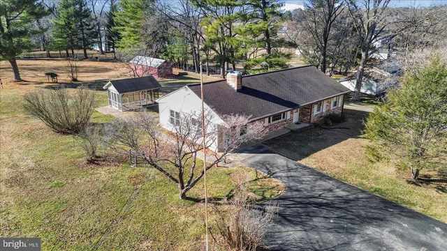 a view of a park with large trees