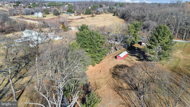 a picture of flowers