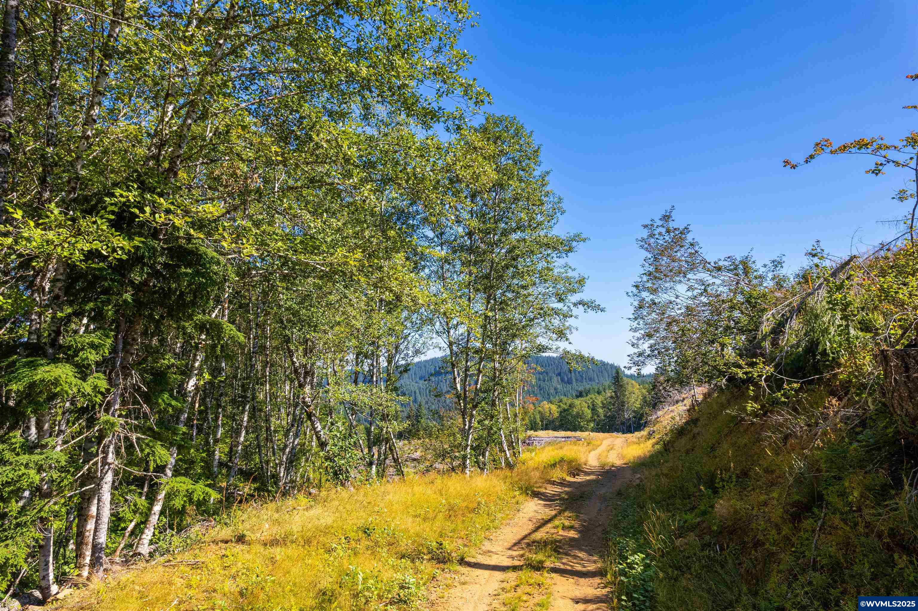 0 Bald Mountain Access Road Willamina, OR 97396 - Photo 8 of 30