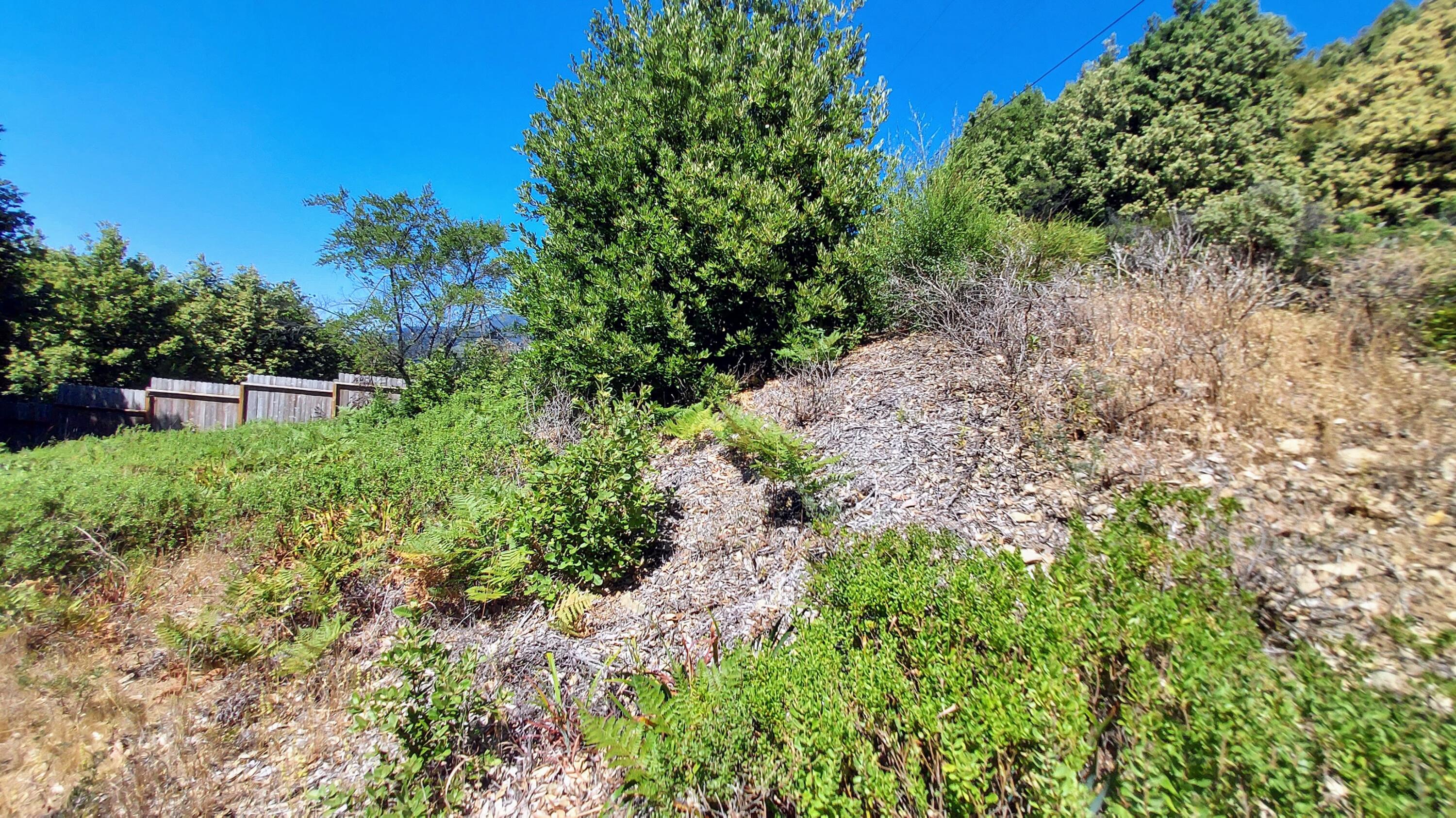 27 Cook Road Shelter Cove, CA 95589 - Photo 12 of 22