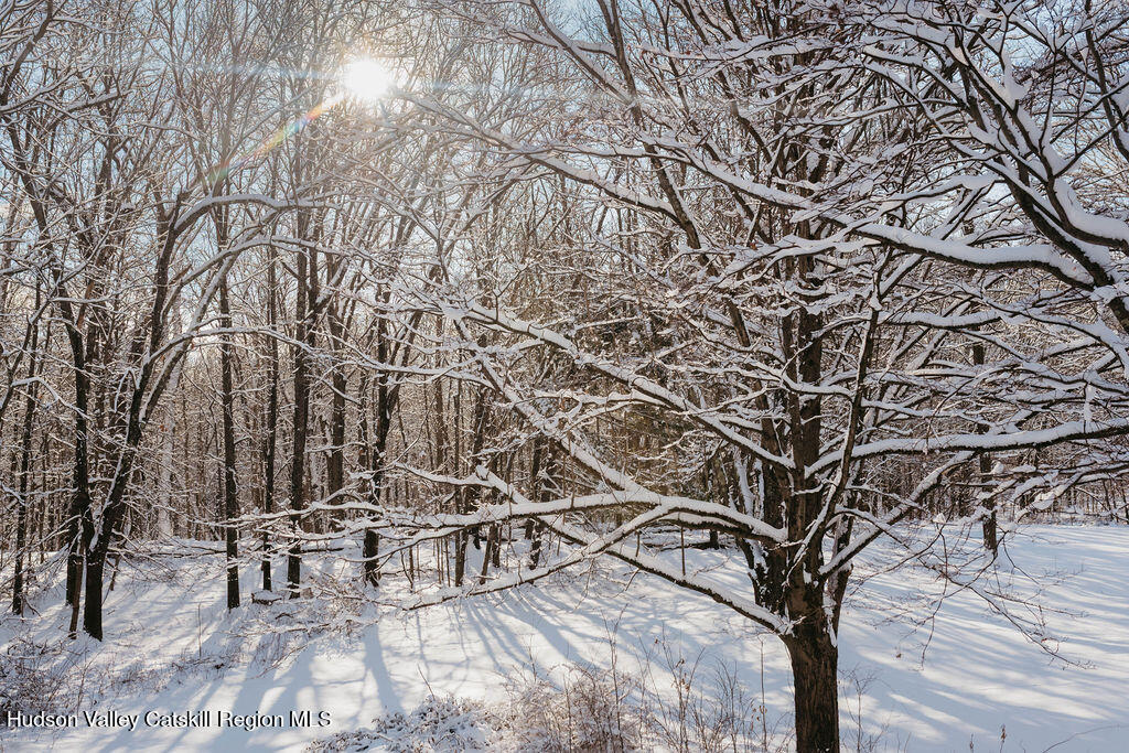 1271 Highway 208 Wallkill, NY 12589 - Photo 52 of 53 DSC_4935