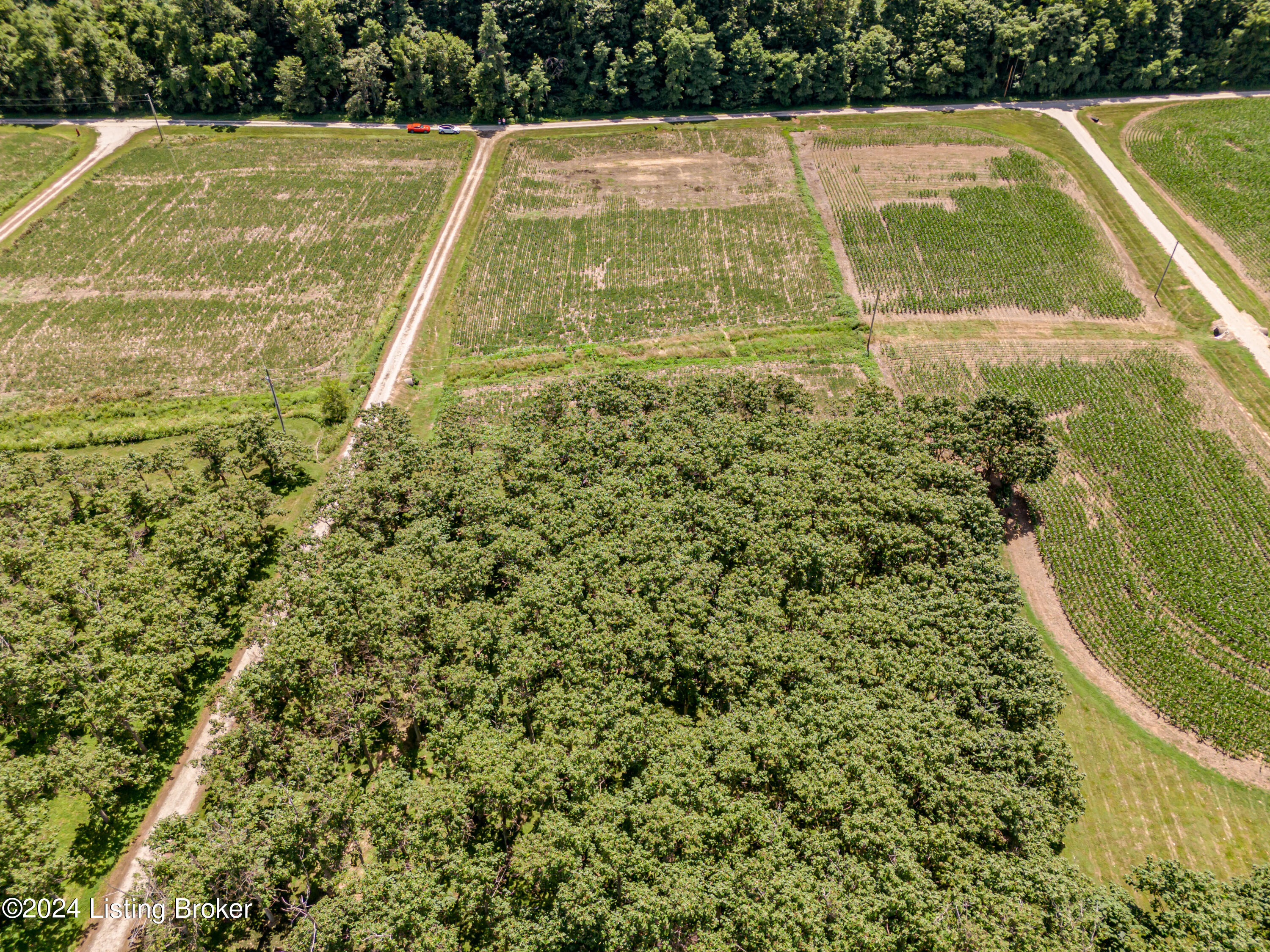 414 Russell Landing Road Brandenburg, KY 40108 - Photo 27 of 27 25