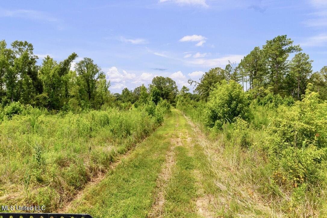 12079 A Bowling Green Road Durant, MS 39063 - Photo 41 of 66 09C1840D-0B30-4E7C-9B73-AE6BA92219E0_1_1
