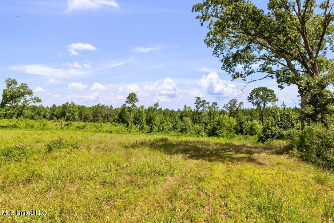 12079 A Bowling Green Road Durant, MS 39063 - Photo 44 of 66 AC55C0C8-7DC3-4F7B-9EB8-7590EE6B1171_1_1