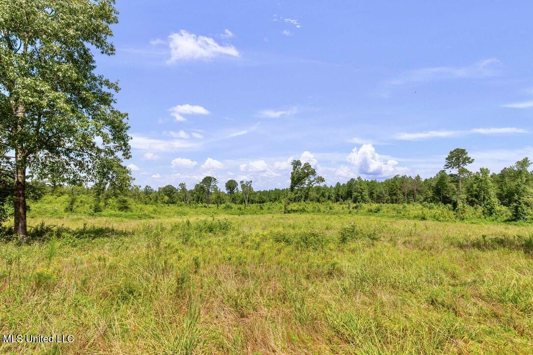 12079 A Bowling Green Road Durant, MS 39063 - Photo 45 of 66 880947AE-7FD7-4216-BDC8-8262C7A4423C_1_1