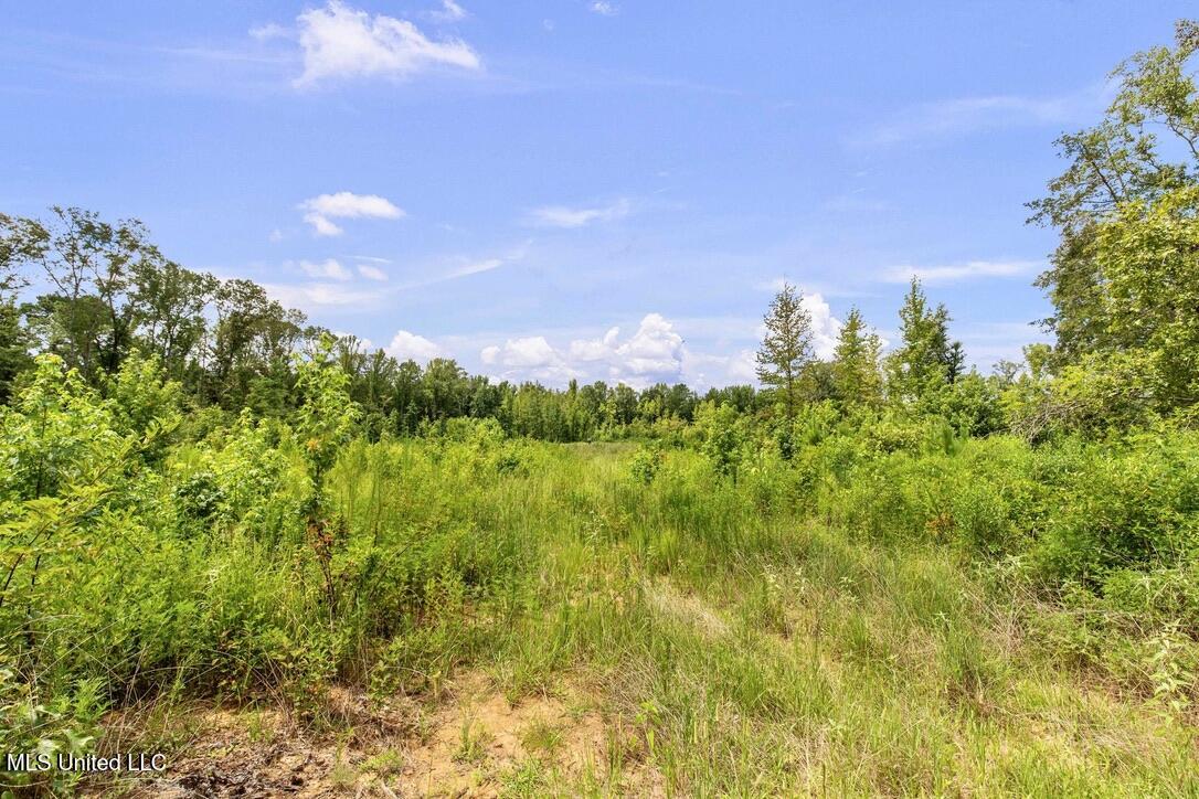 12079 A Bowling Green Road Durant, MS 39063 - Photo 47 of 66 E6996E49-A93B-4EEB-9B5D-38479FD75636_1_1