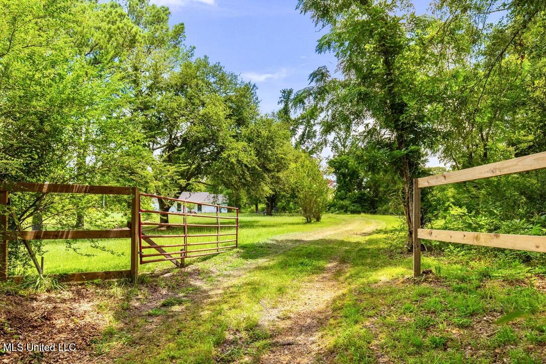 12079 A Bowling Green Road Durant, MS 39063 - Photo 5 of 66 A20468EE-EF3F-474E-BE24-AC6D79065269_1_1