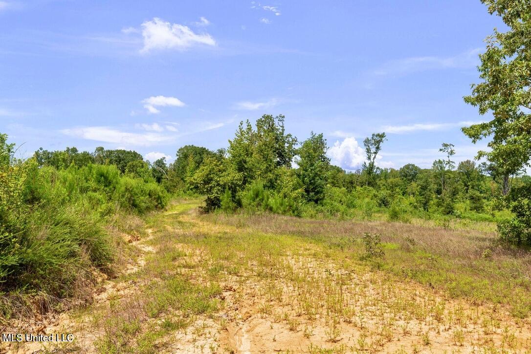 12079 A Bowling Green Road Durant, MS 39063 - Photo 54 of 66 8F447E11-3B9B-43A6-86AB-864A438DBDD0_1_1