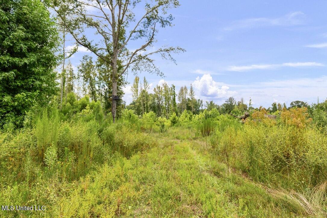12079 A Bowling Green Road Durant, MS 39063 - Photo 56 of 66 6565712B-8D4B-4D31-A8B4-780067969735_1_1
