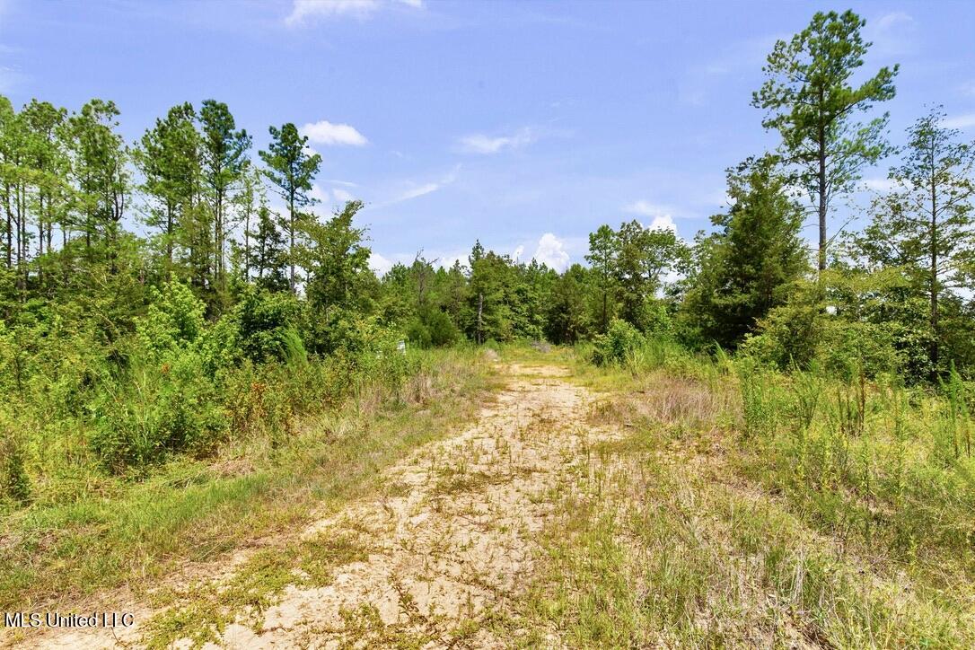 12079 A Bowling Green Road Durant, MS 39063 - Photo 57 of 66 65F7C910-778B-4FA8-BE94-7C7B51A17A6D_1_1