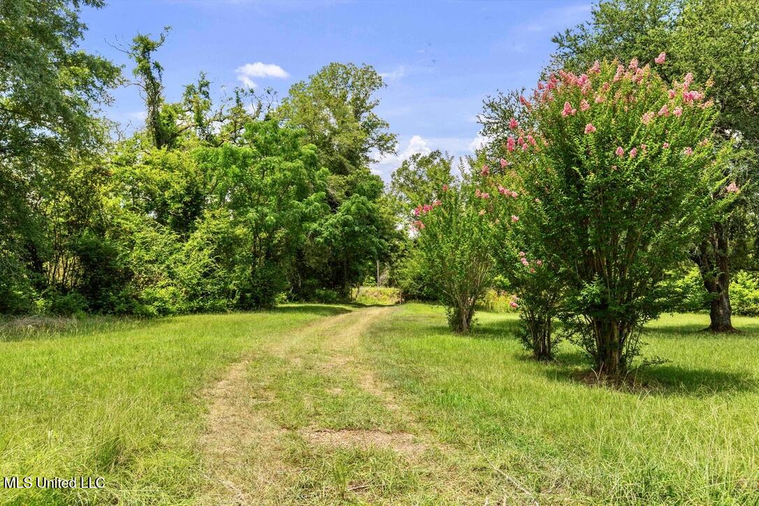 12079 A Bowling Green Road Durant, MS 39063 - Photo 6 of 66 793E8AE3-0B05-41C0-A346-B63BD5545B72_1_1