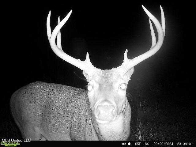 12079 A Bowling Green Road Durant, MS 39063 - Photo 63 of 66 820D03E4-0531-4C74-9ACD-EA06B9150235