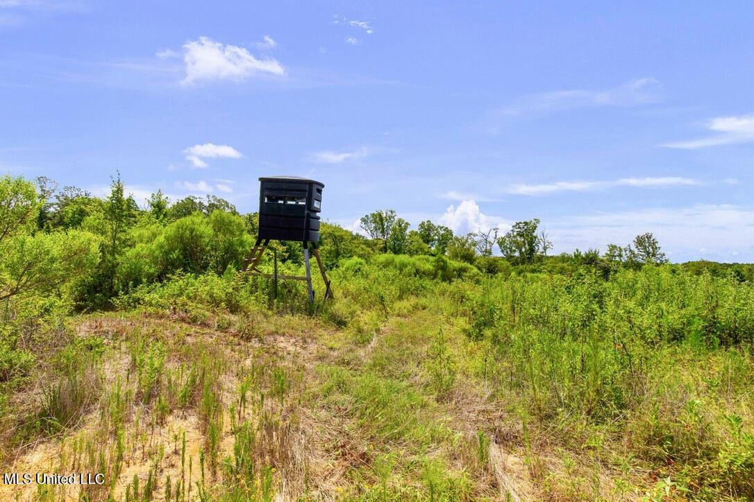 12079 A Bowling Green Road Durant, MS 39063 - Photo 64 of 66 878EF4A7-95FE-4376-B673-6361D2CD1D48_1_1