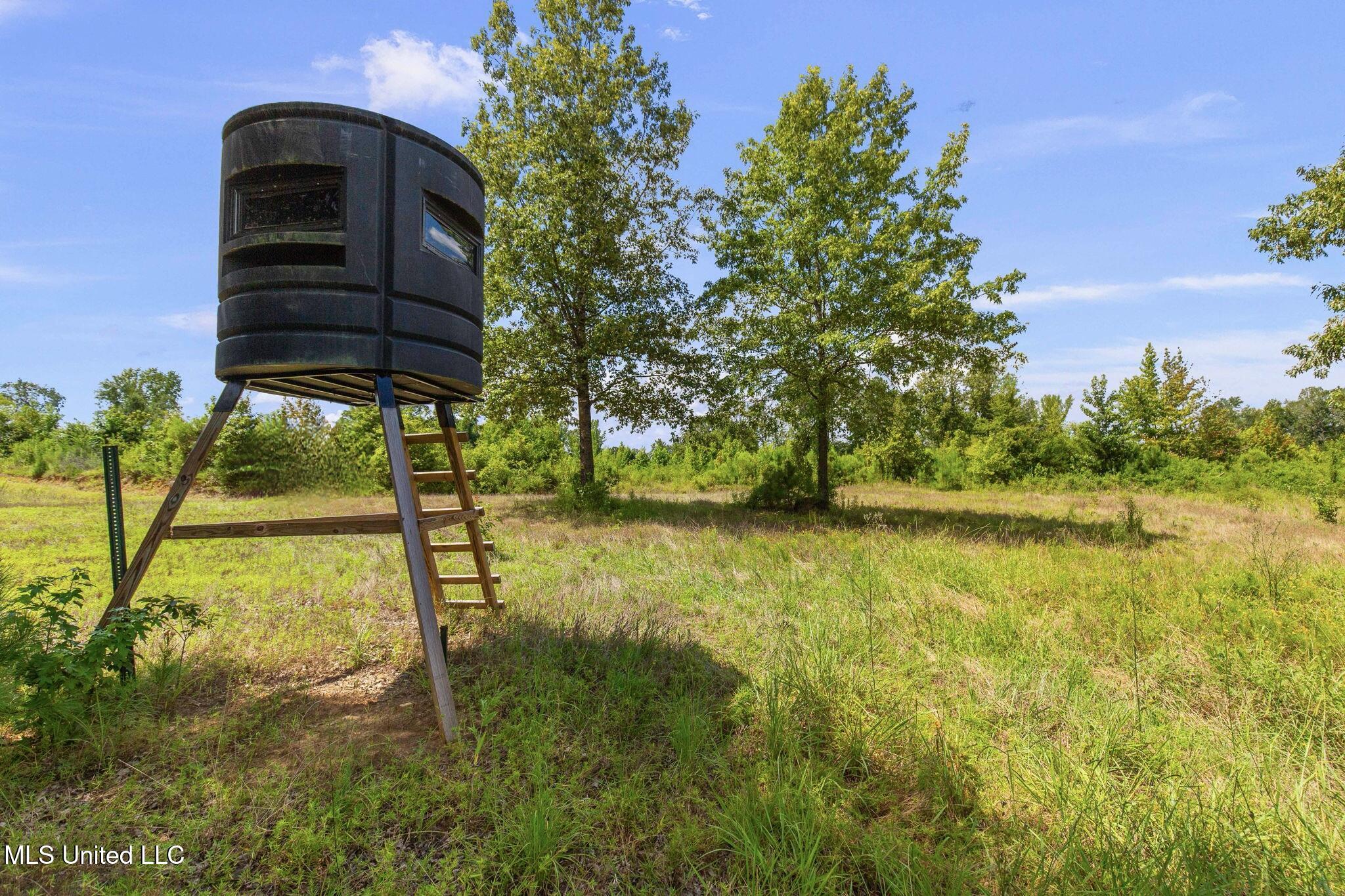 12079 A Bowling Green Road Durant, MS 39063 - Photo 66 of 66 C03AA3FA-6BAB-4D57-A04A-629F9644C2F6_1_2