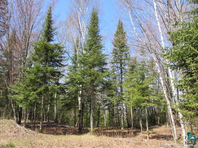 89165 Bark Point Road Herbster, WI 54844 - Photo 13 of 50 Gallery Image 13