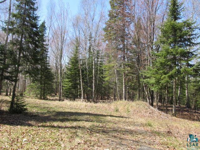 89165 Bark Point Road Herbster, WI 54844 - Photo 14 of 50 Gallery Image 14