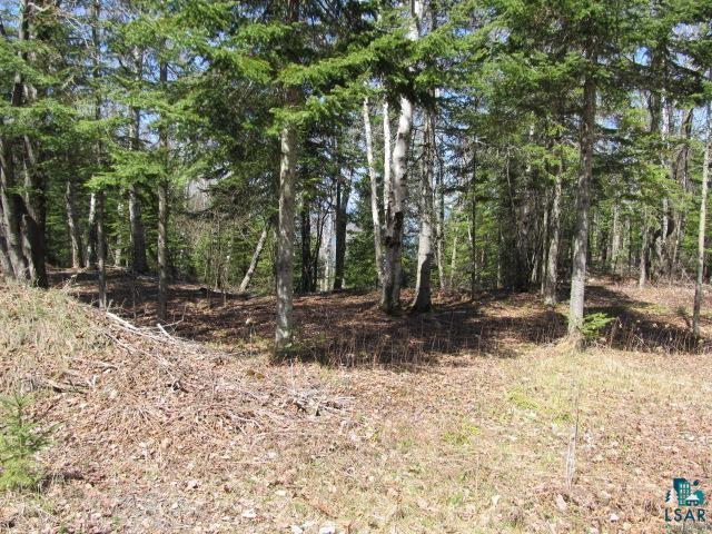 89165 Bark Point Road Herbster, WI 54844 - Photo 8 of 50 Gallery Image 8