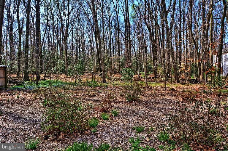7807 Brooklyn Bridge Road Laurel, MD 20707 - Photo 11 of 27 Back yard and wooded area!