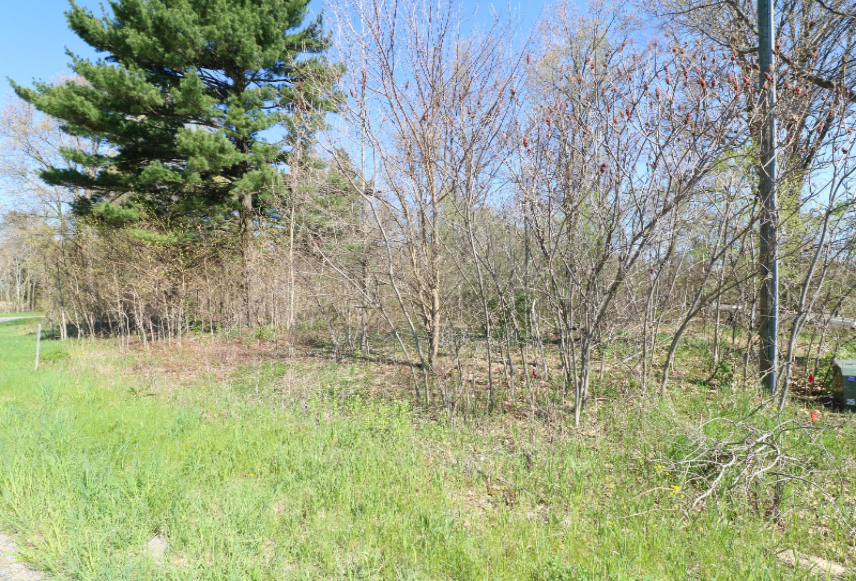 60800 Klett Drive Decatur, MI 49045 - Photo 2 of 7 Lightly wooded with mature trees