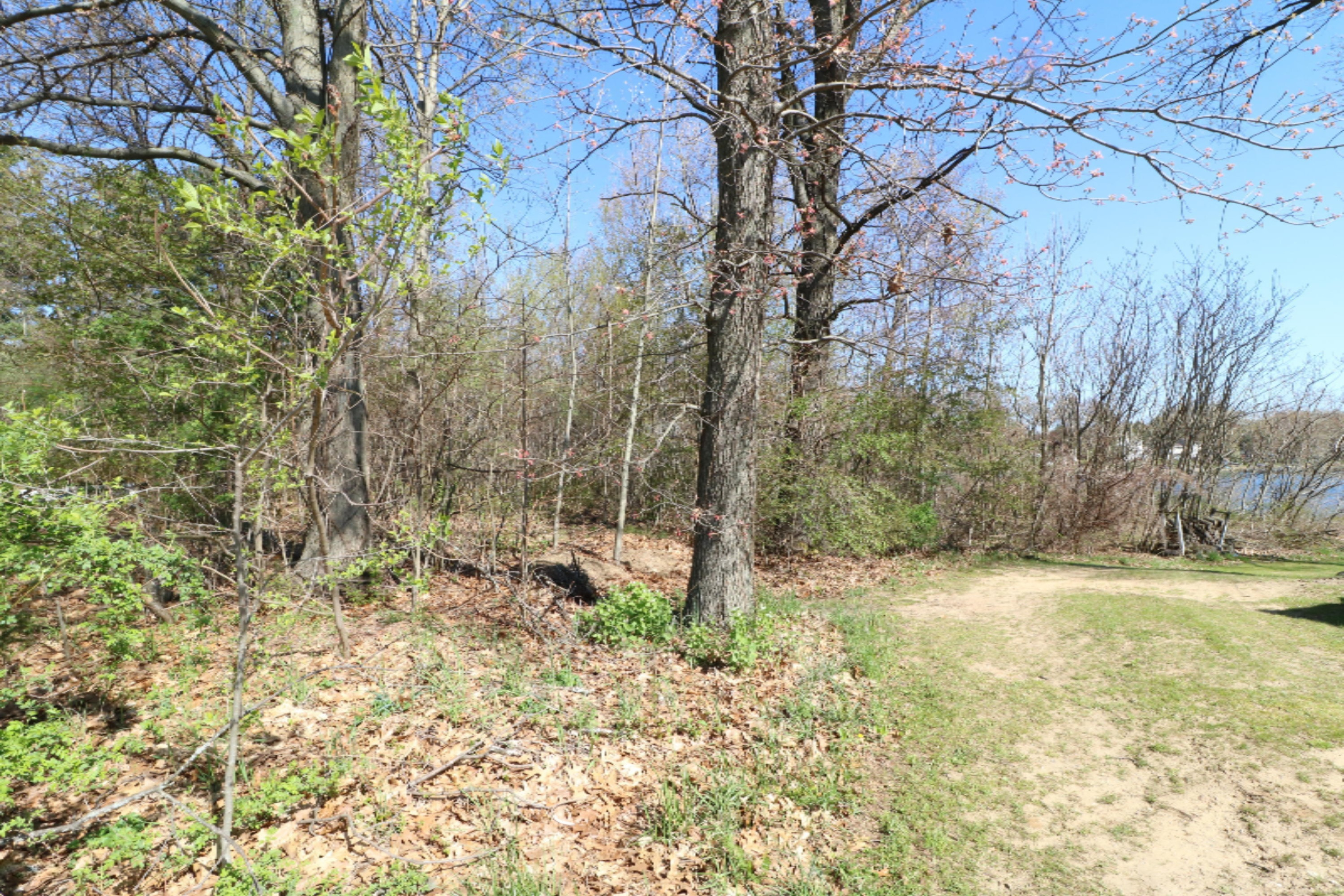 60800 Klett Drive Decatur, MI 49045 - Photo 3 of 7 Slight incline. Great for a walkout.