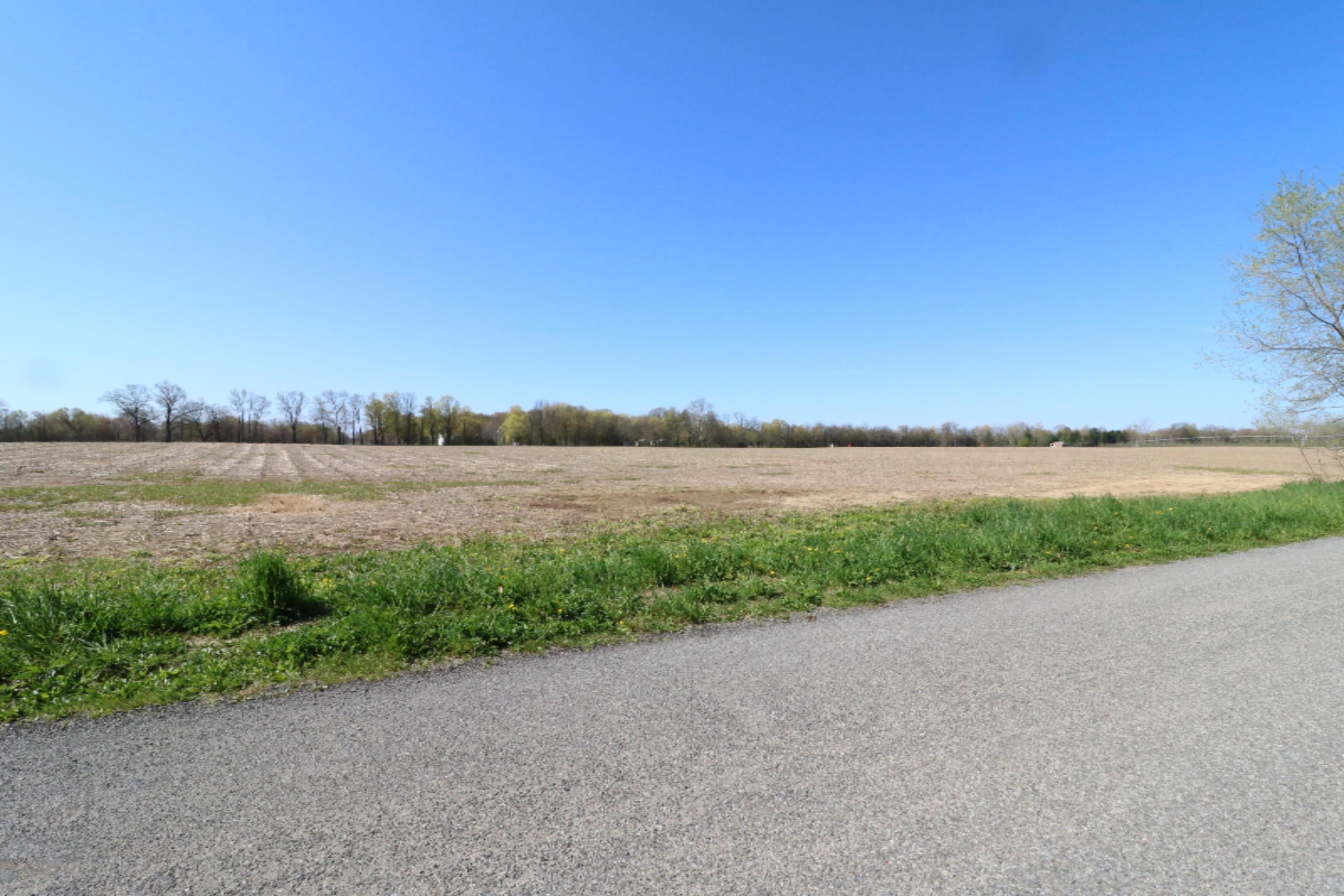 60800 Klett Drive Decatur, MI 49045 - Photo 7 of 7 Farm land to the back