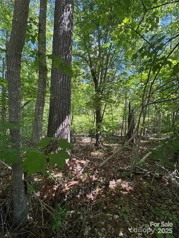 a view of outdoor space and green space