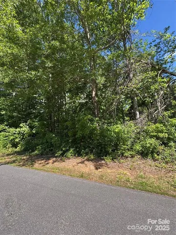 a view of a field with plants and trees