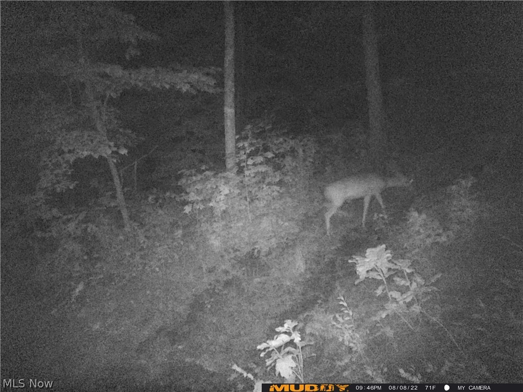Campbell Road Freeport, OH 43973 - Photo 14 of 33 Gallery Image 14
