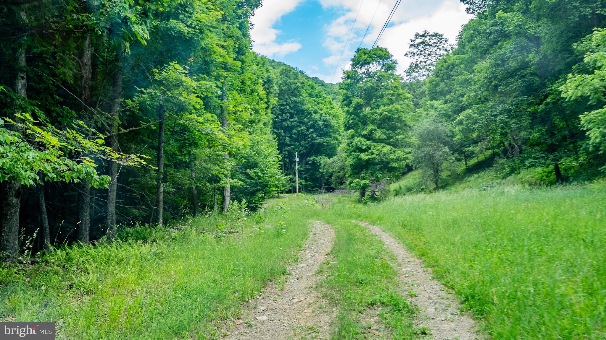 1862 Hawbush Road Circleville, WV 26804 - Photo 26 of 83