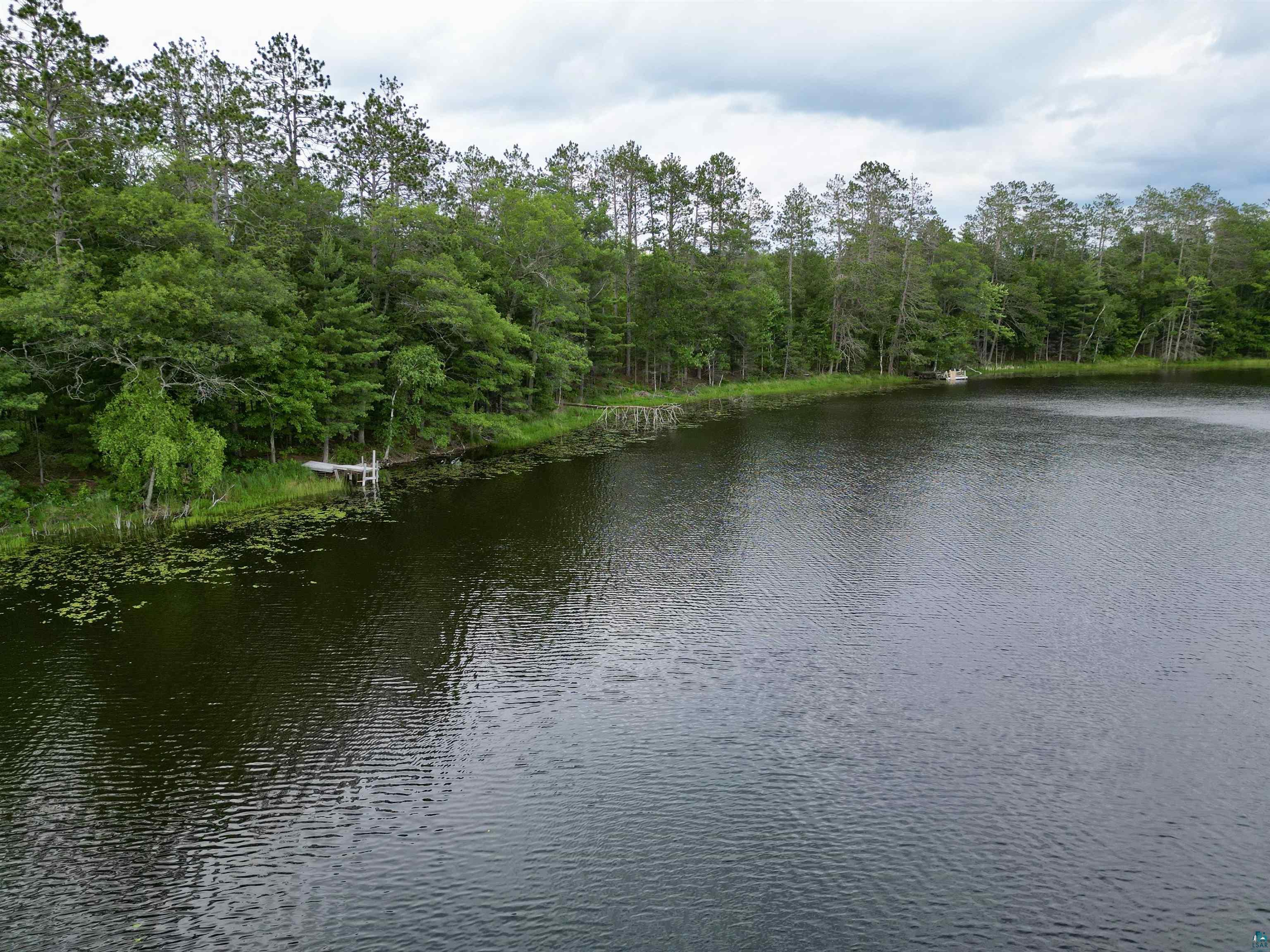 Water view featuring a heavily wooded area
