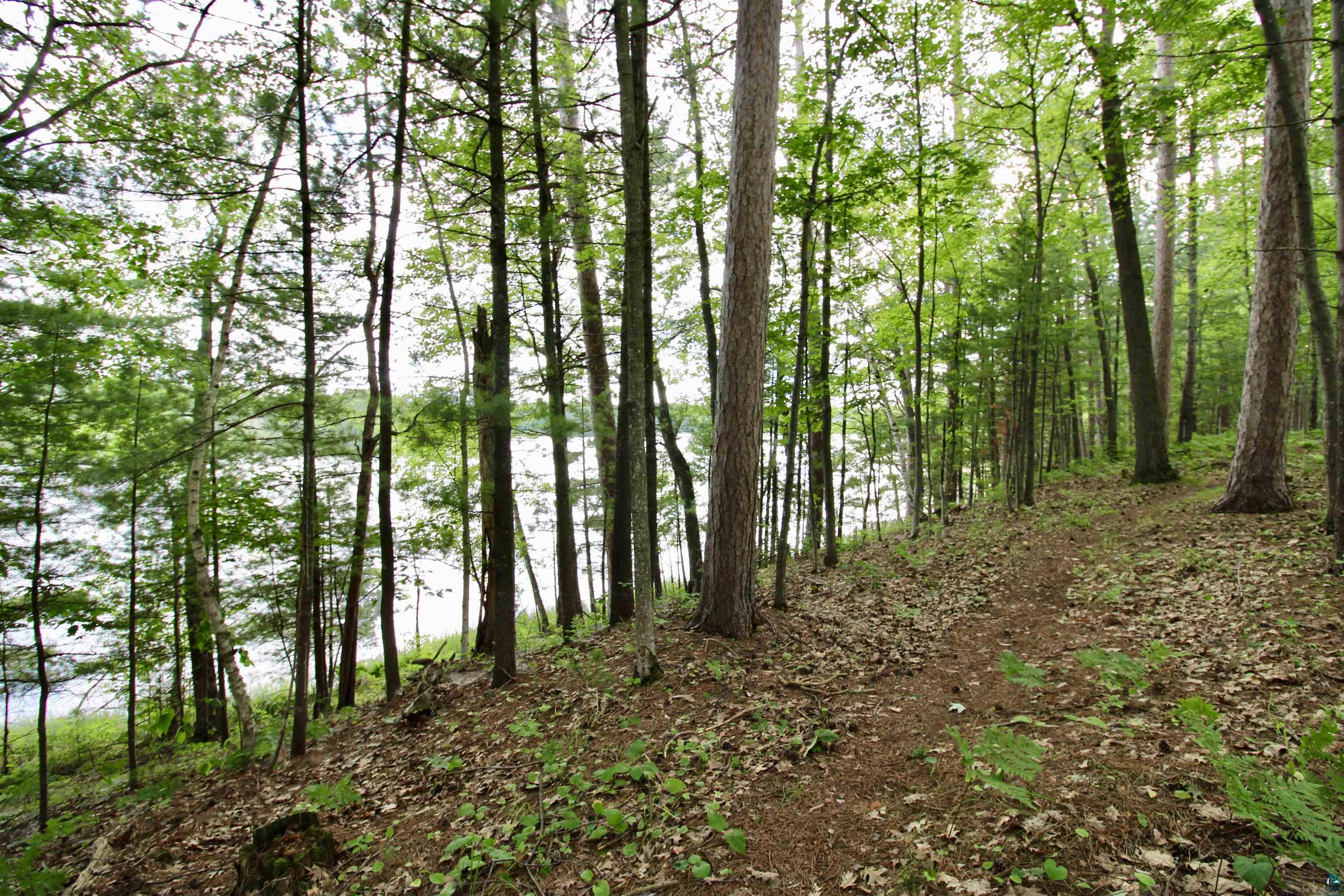 7621 White Beach Road Hayward, WI 54843 - Photo 6 of 26 View of undeveloped land