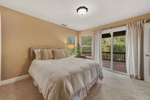 a view of a park with large trees