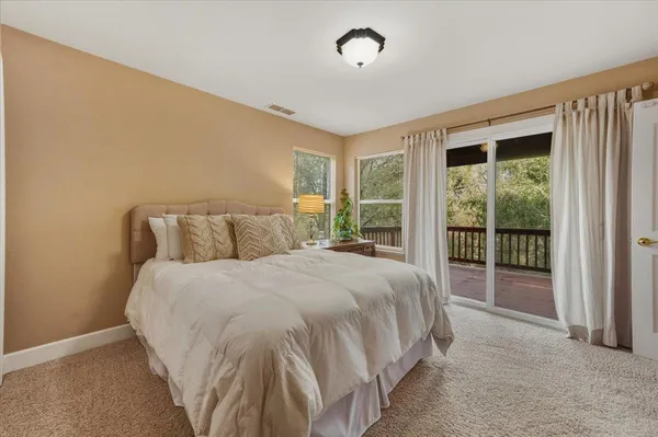 a view of a park with large trees