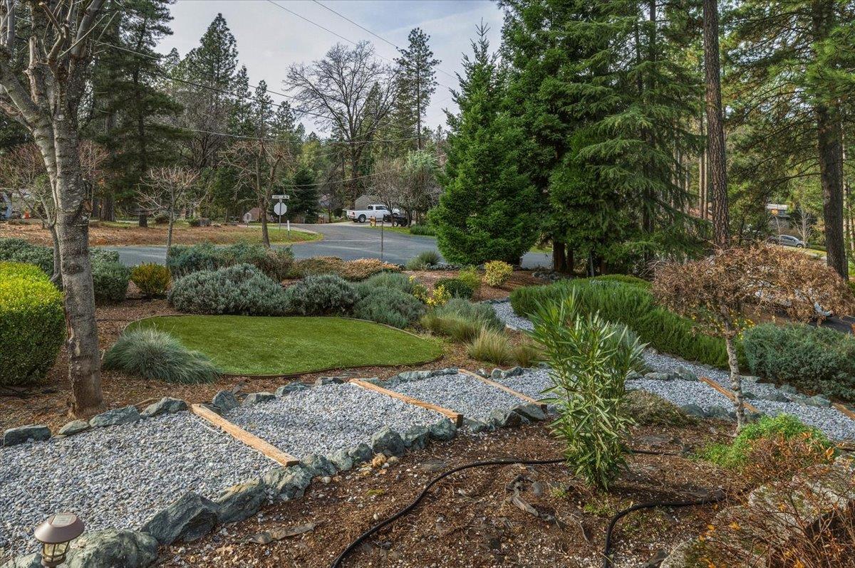 16041 John Way Grass Valley, CA 95949 - Photo 45 of 56 a view of a park with large trees