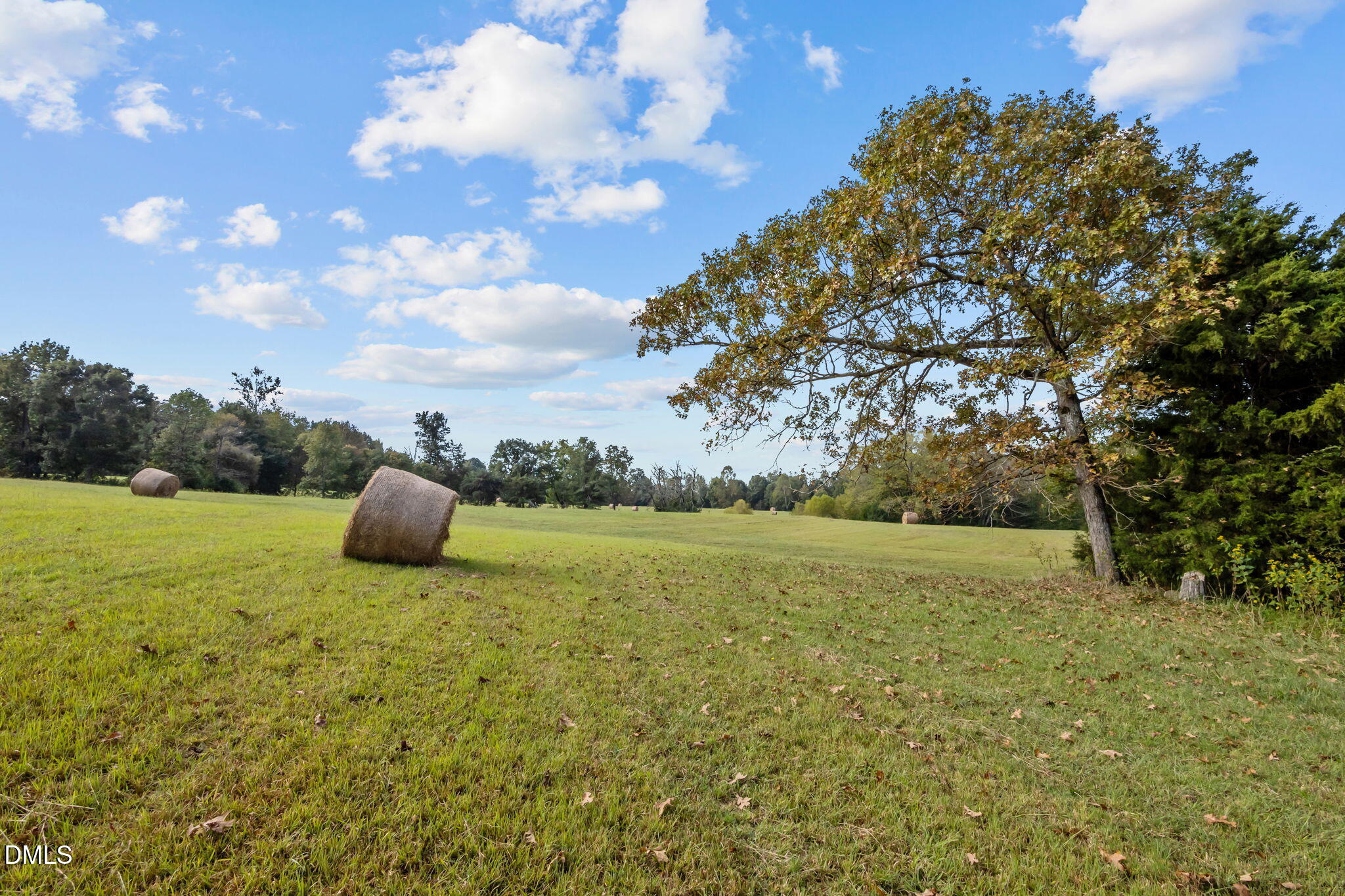 9400 Wheelers Church Road Cedar Grove, NC 27231 - Photo 87 of 96 21-web-or-mls-P1086504