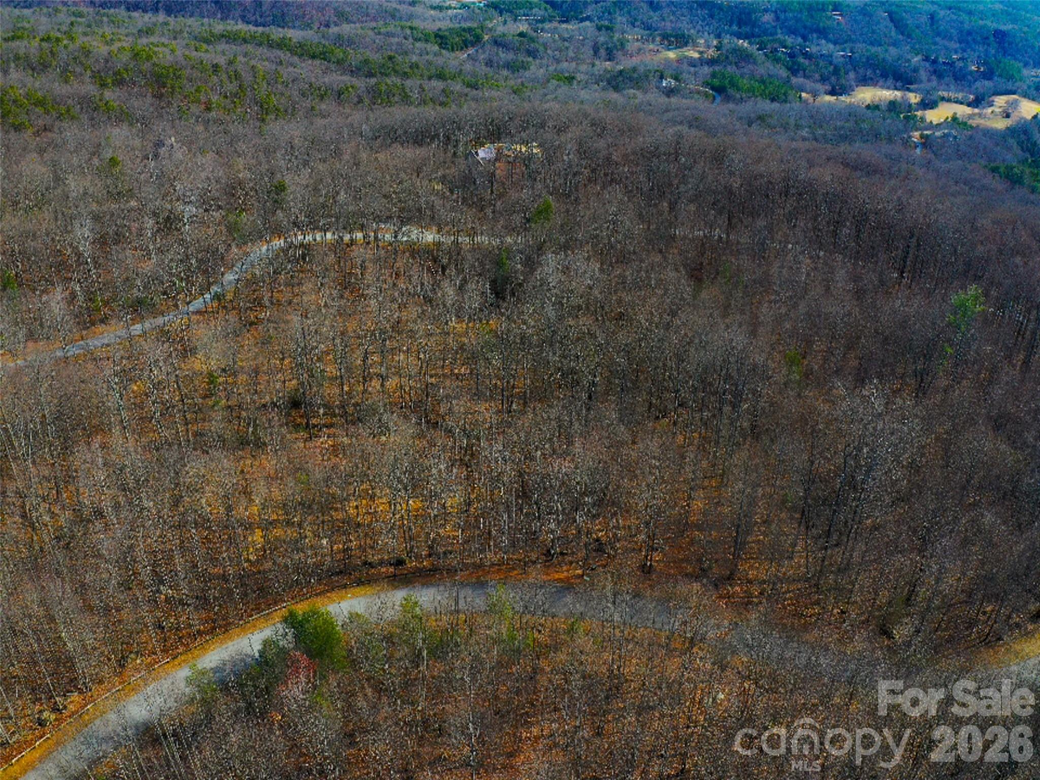 220 Chesterfield Drive Mill Spring, NC 28756 - Photo 22 of 34 a view of a dry yard with trees