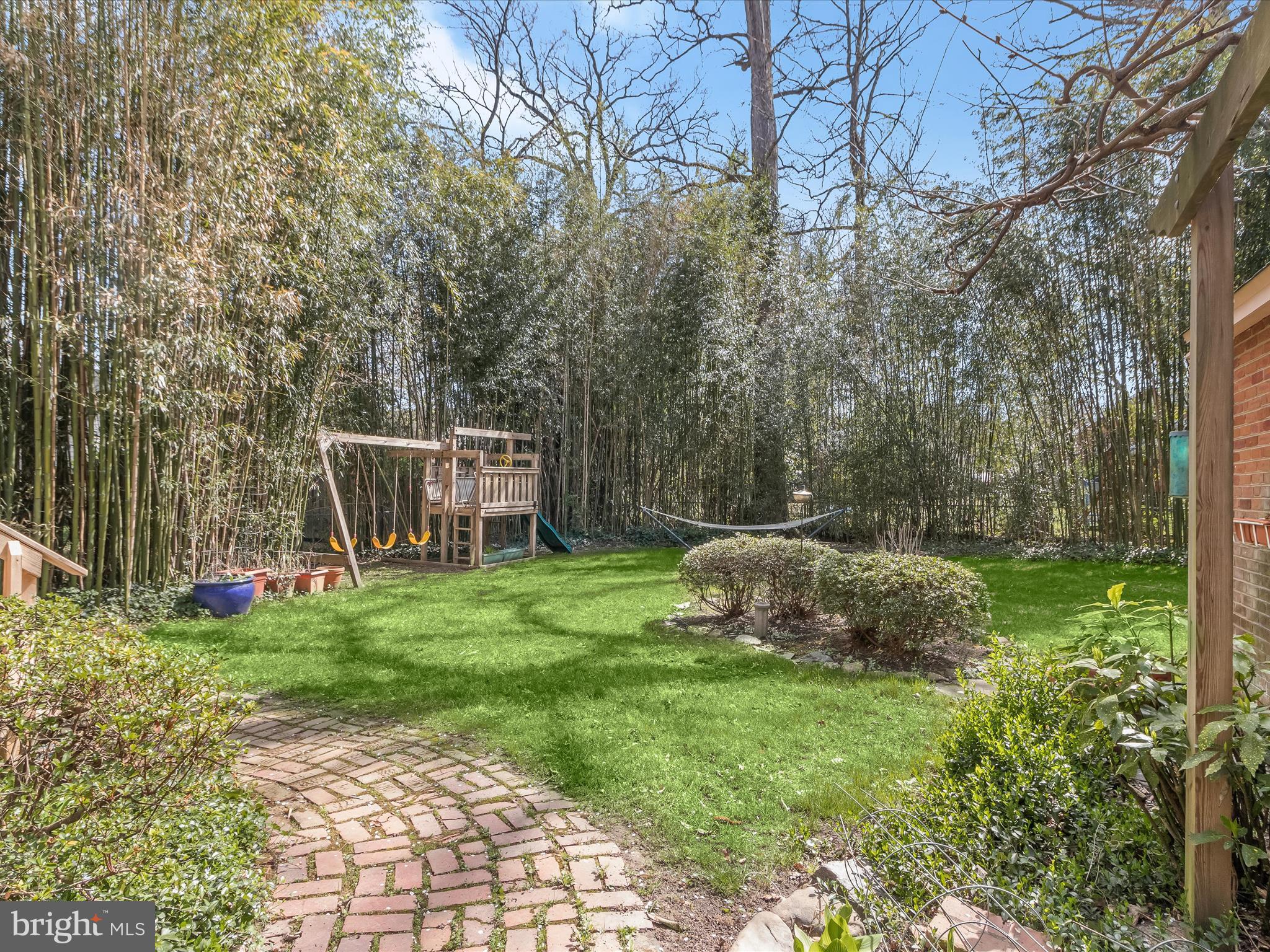 4611 Amherst Road College Park, MD 20740 - Photo 48 of 59 Backyard