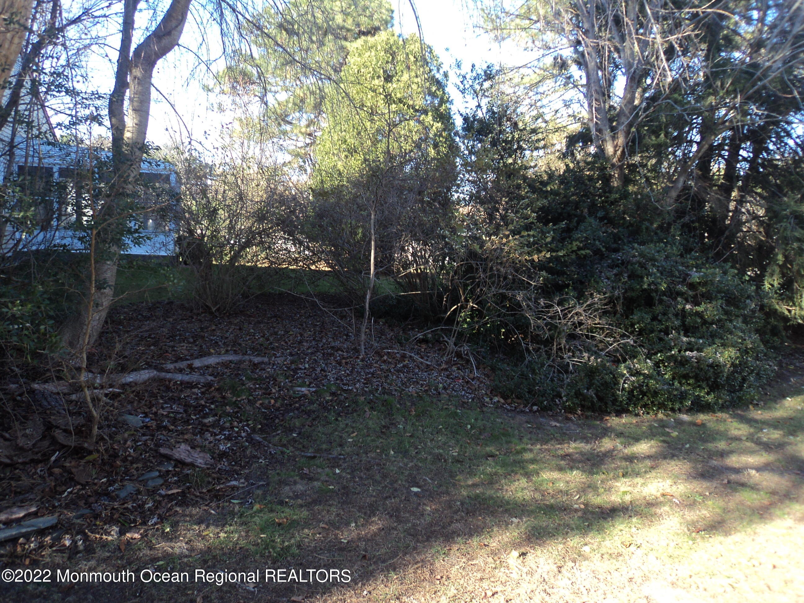 16C Amesbury Road, Unit C Whiting, NJ 08759 - Photo 4 of 40 DSC06930