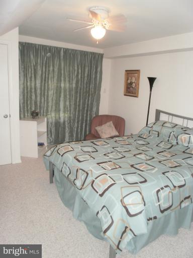 11611 Chapel Cross Way Reston, VA 20194 - Photo 22 of 28 Lower Level Bedroom