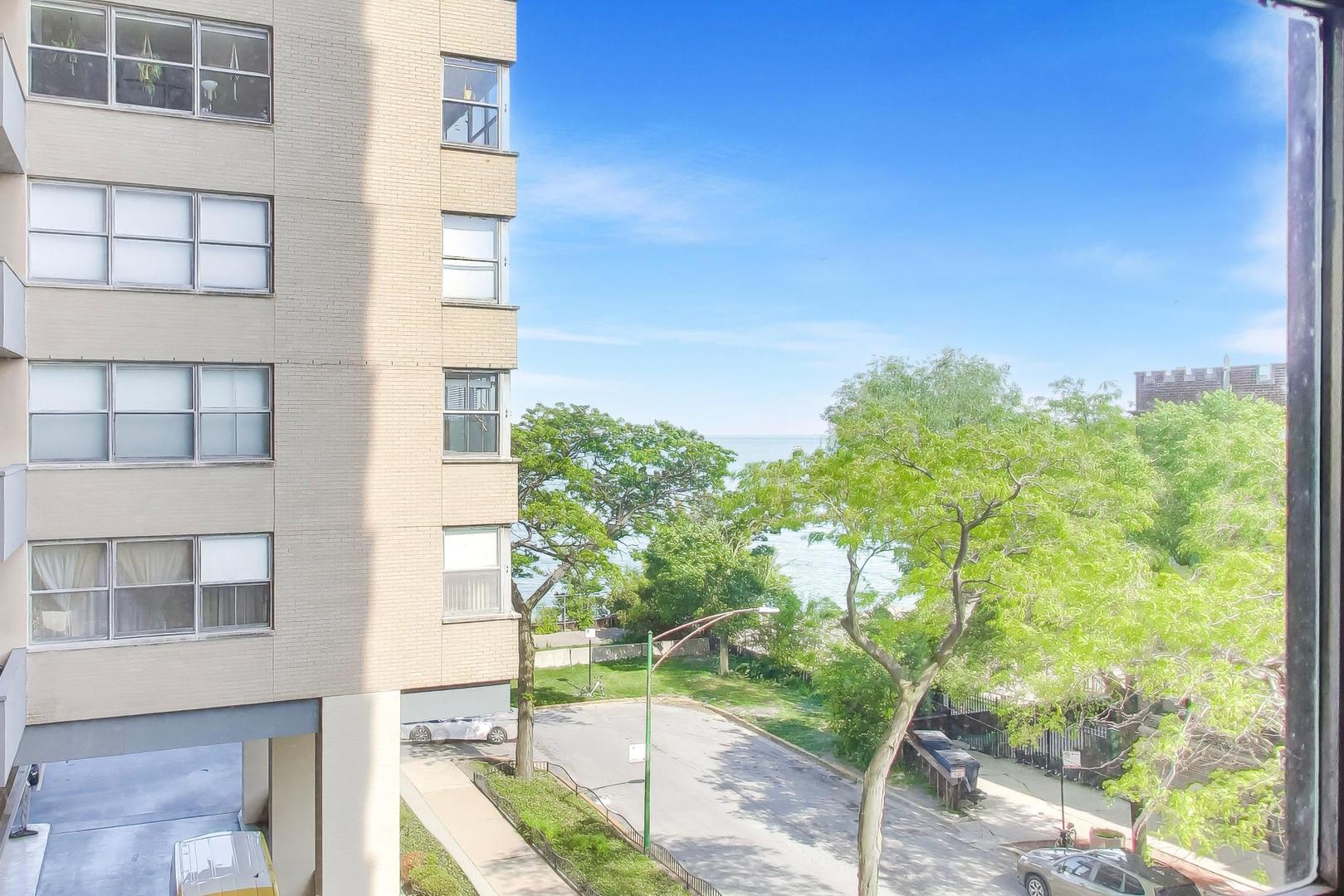 6301 North Sheridan Road, Unit 4G Chicago, IL 60660 - Photo 5 of 30