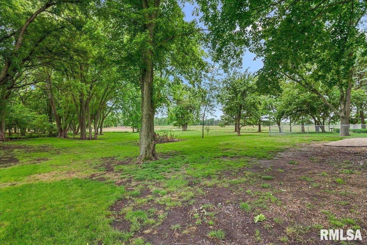 4502 Gaule Road Springfield, IL 62712 - Photo 71 of 86