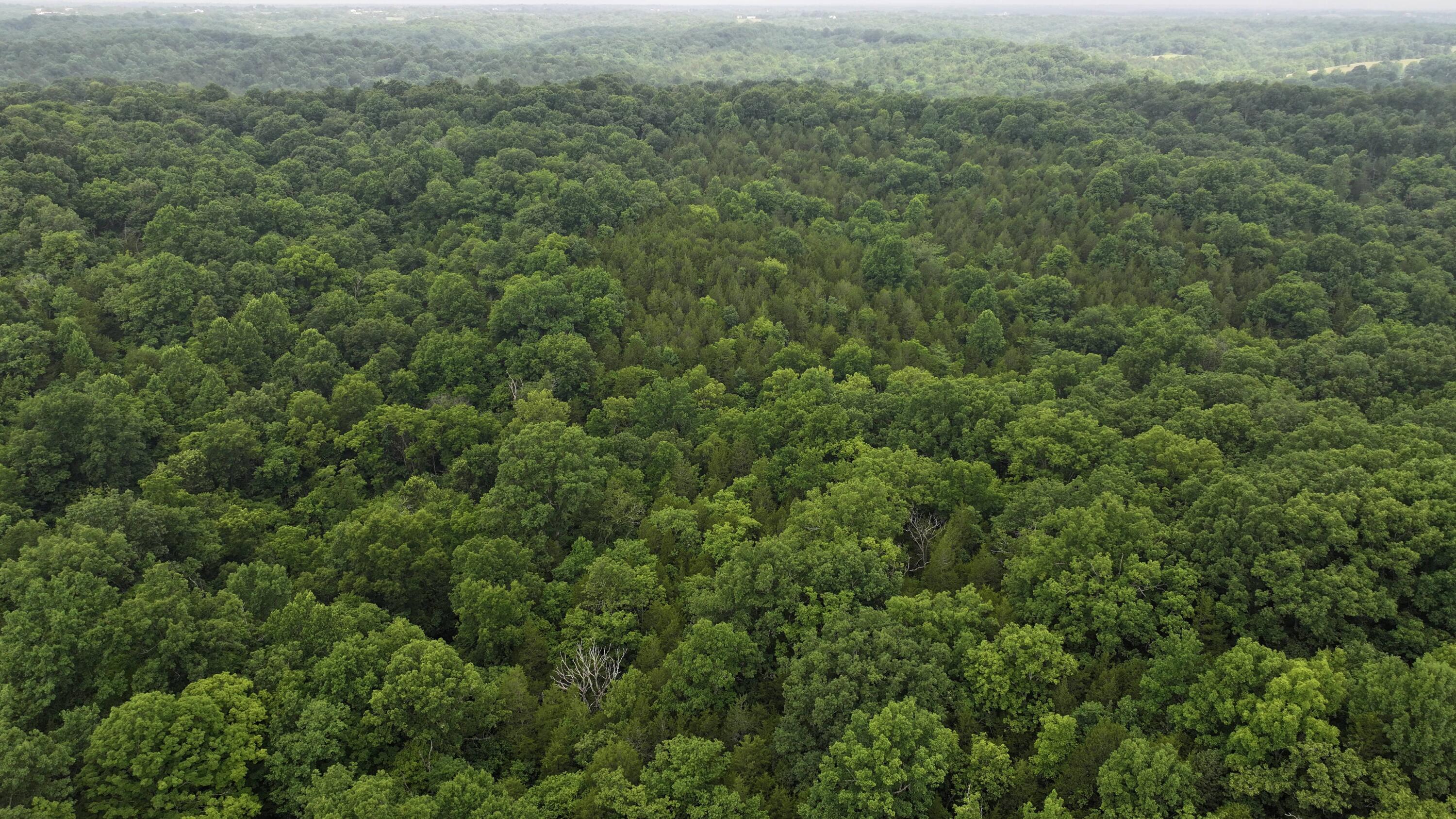 10792 New Columbus Road Owenton, KY 40359 - Photo 19 of 22 DJI_20260709104533_0036_D