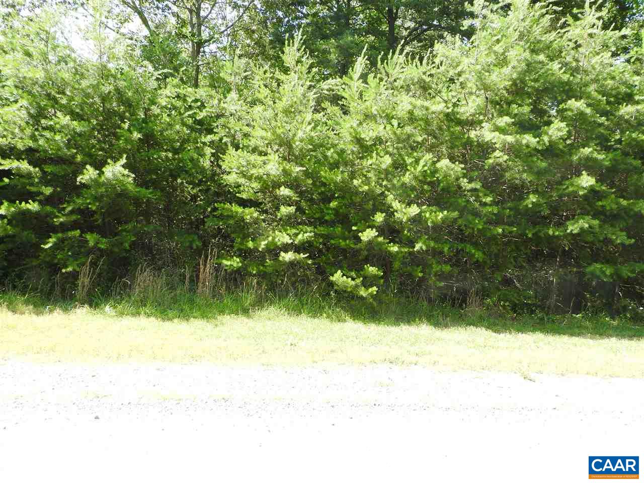 30 Guildford Farm Road Ruckersville, VA 22968 - Photo 1 of 9 a backyard of a house with lots of green space