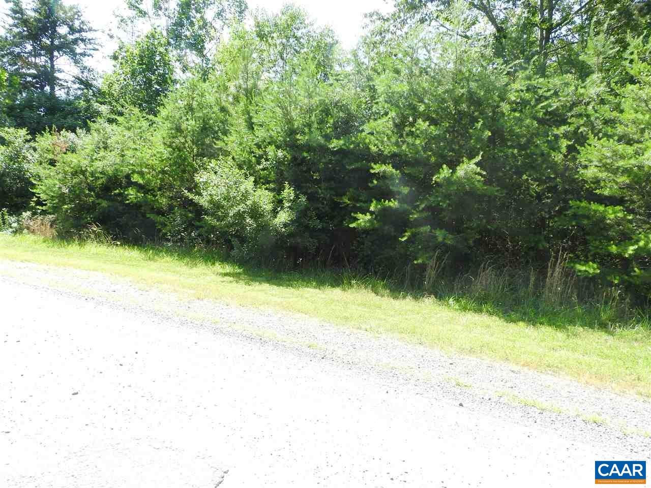30 Guildford Farm Road Ruckersville, VA 22968 - Photo 2 of 9 a view of outdoor space and lake view